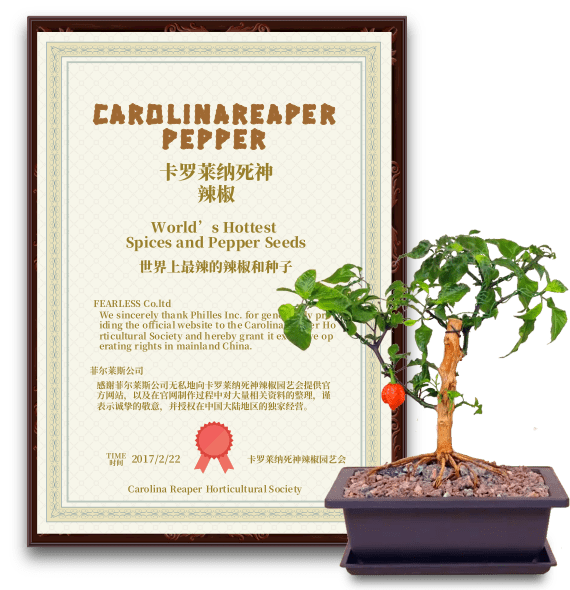 Carolina Reaper 卡罗莱纳死神