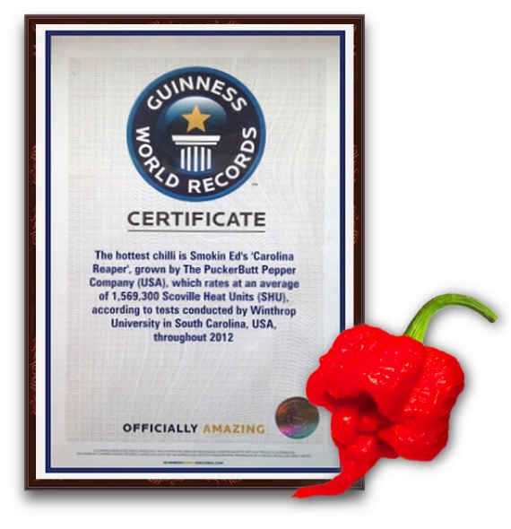 Carolina Reaper Guinness